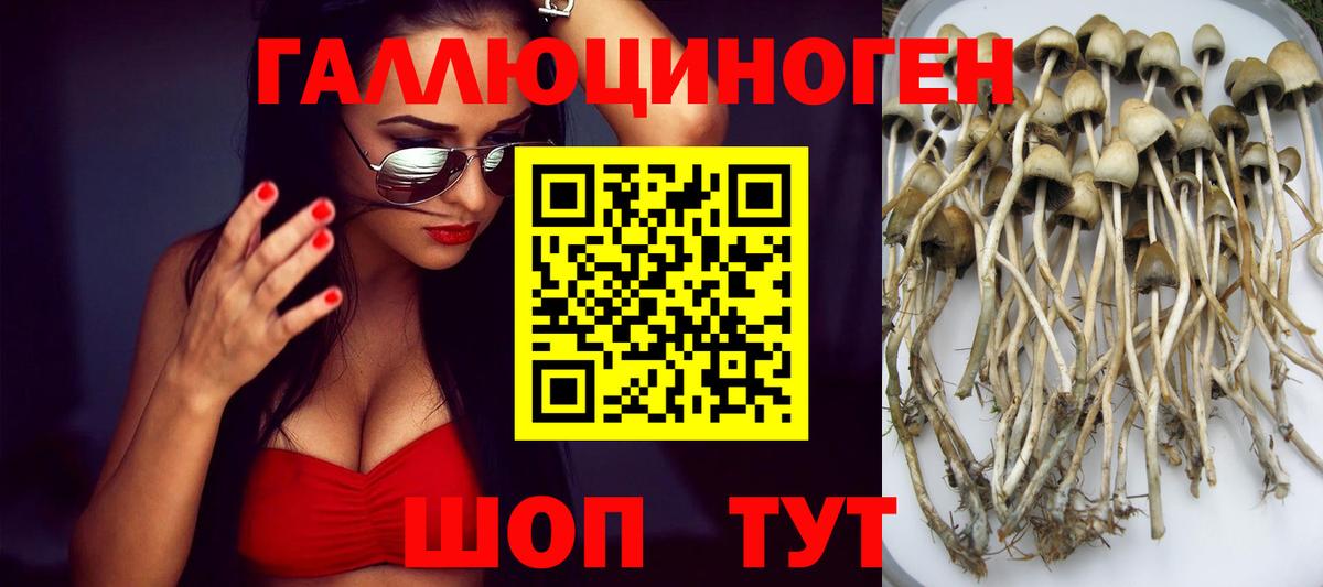 Псилоцибиновые грибы ЛСД Качканар
